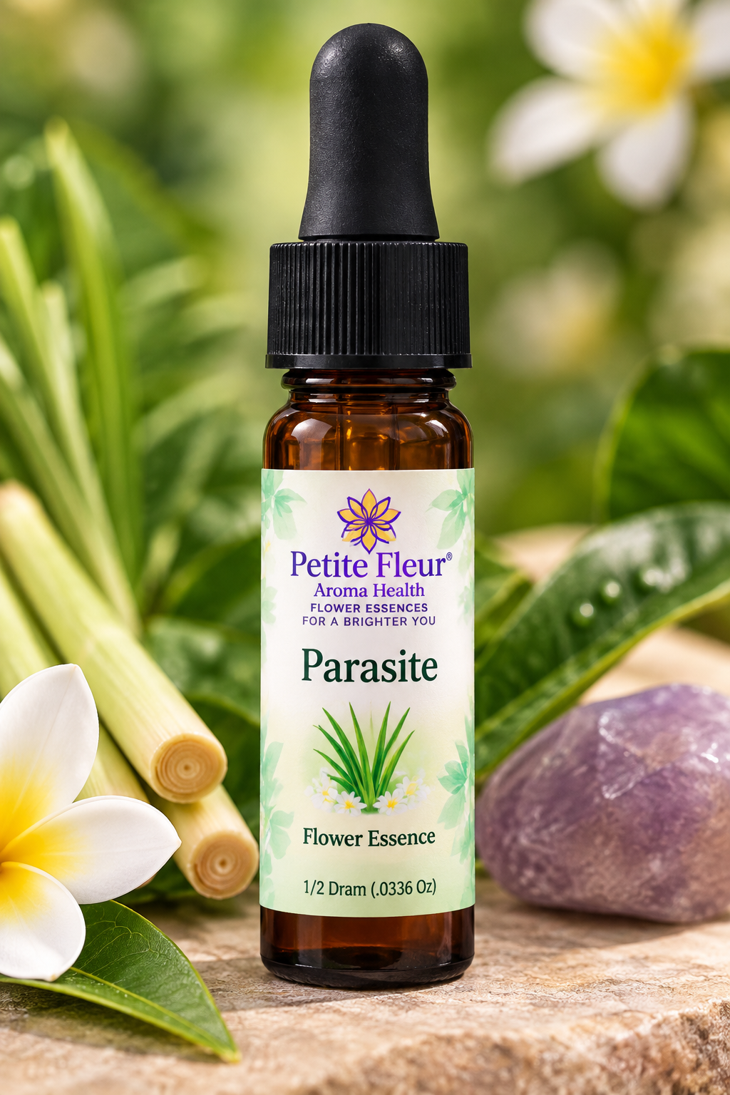 Parasite – Subtle Body Support & Energetic Boundaries
