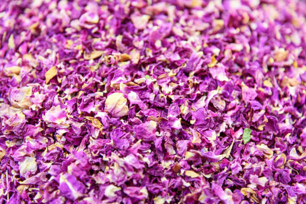 Persian Lilac Flower Essence