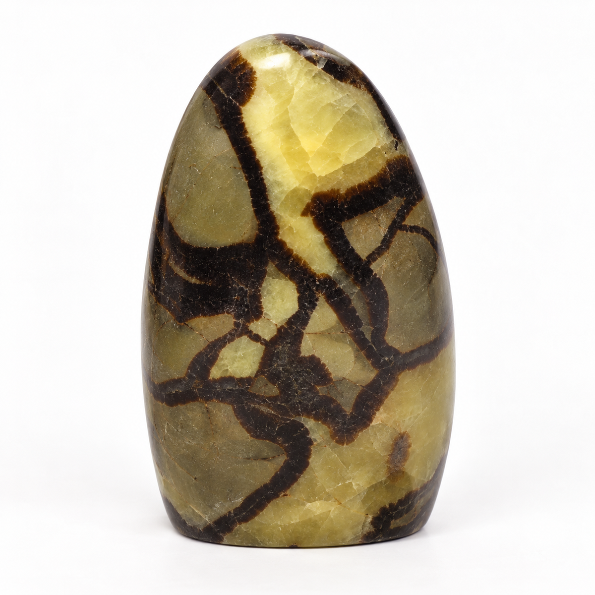 Polished Septarian Freeform from Madagascar | 2 lb 1 oz