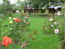 Load image into Gallery viewer, Quinta Gaia  Environmental Remedy