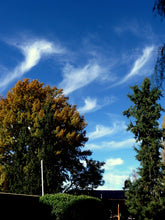 Load image into Gallery viewer, Quinta Gaia  Environmental Remedy