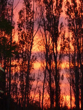 Load image into Gallery viewer, Quinta Gaia  Environmental Remedy