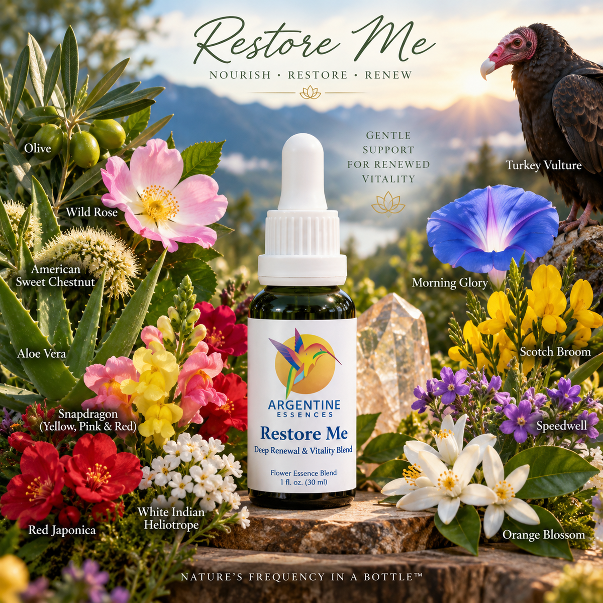 Restore Me – Deep Renewal & Vitality Blend