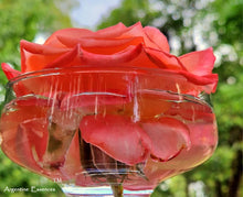 Load image into Gallery viewer, Salmon Pink Rose Flower Remedy
