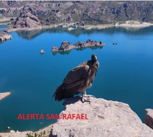 Load image into Gallery viewer, Turkey Vulture Vibrational Animal Essence Remedy