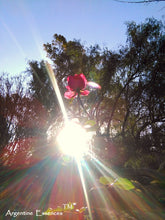 Load image into Gallery viewer, Tall Pink Rose Flower Remedy