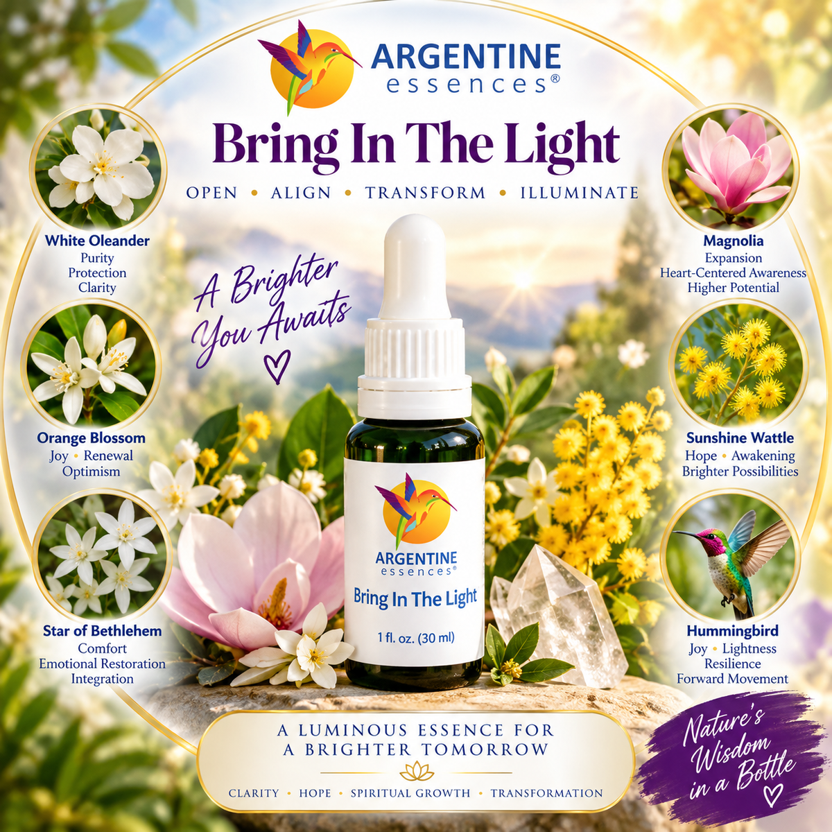 Bring in the Light – Spiritual Alignment & Illumination Essence