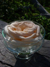 Load image into Gallery viewer, Champagne Rose Flower Remedy