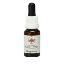Load image into Gallery viewer, Dog Rose - Flower Essence
