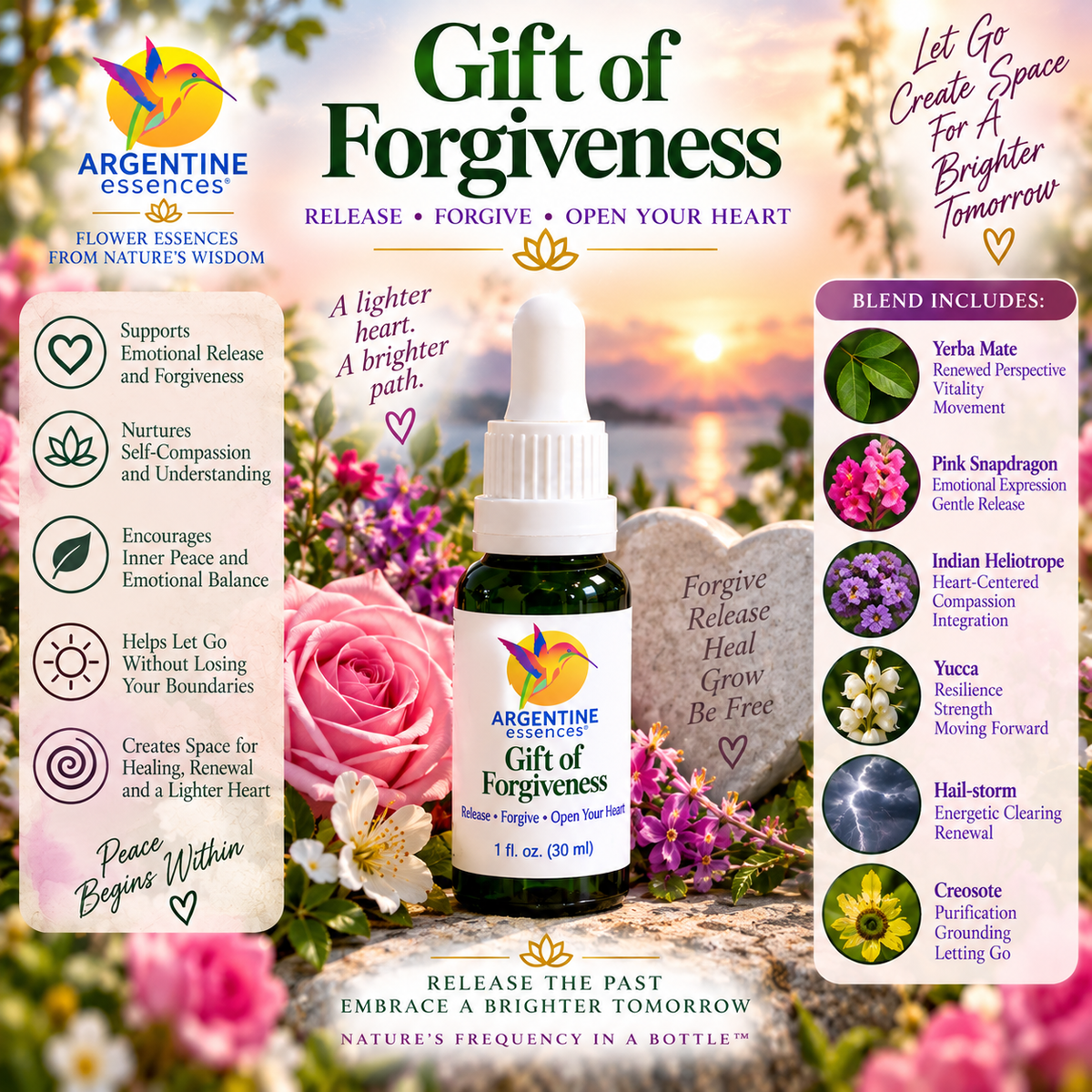 Gift of Forgiveness – Release, Compassion & Heart Renewal Blend