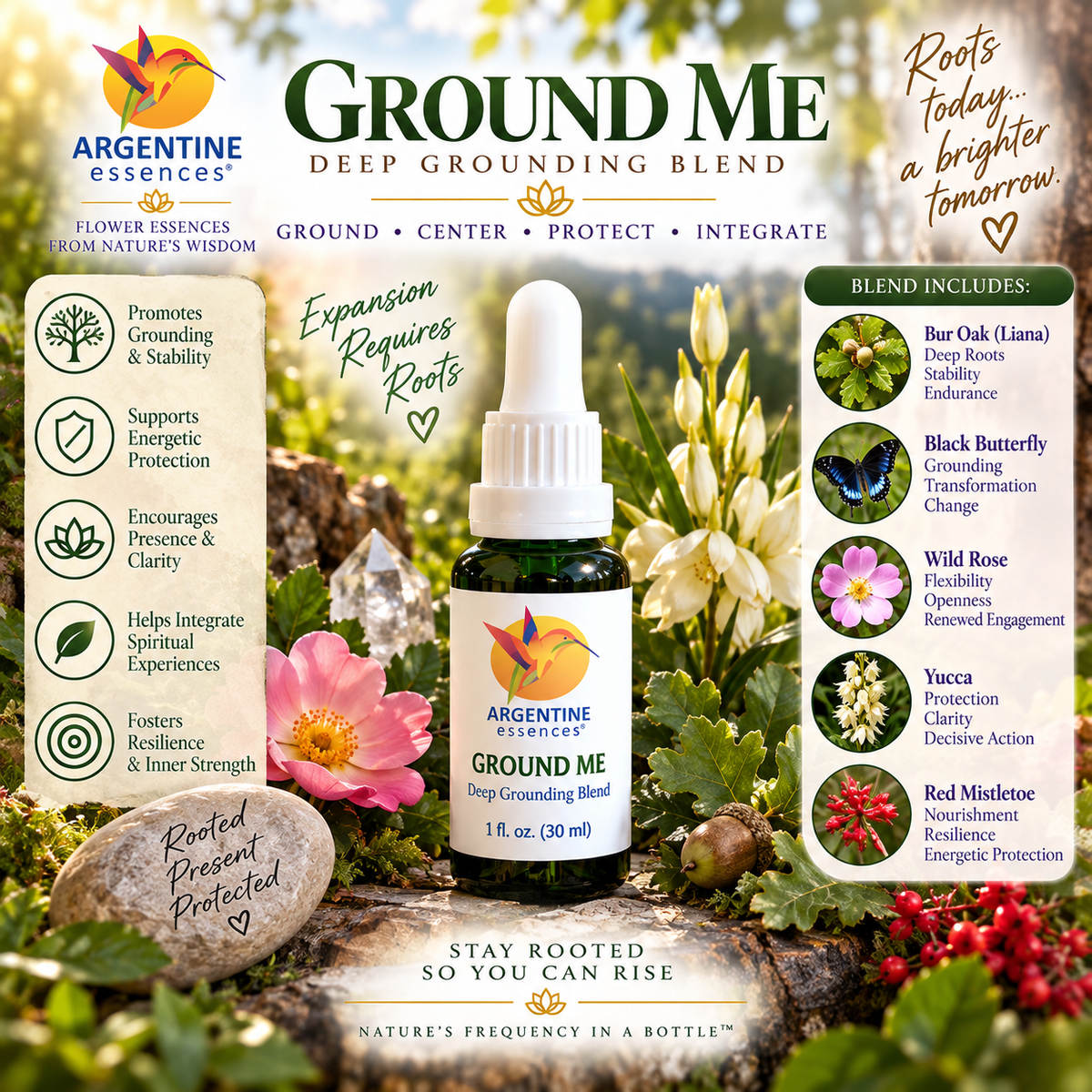 GROUND ME – Deep Grounding, Stability & Presence Blend