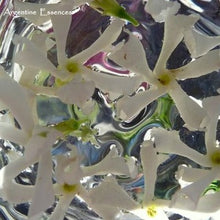 Load image into Gallery viewer, Jasmine Flower Remedy