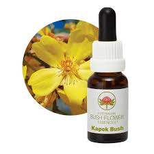 Kapok Bush Flower Essence