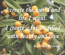 Load image into Gallery viewer, Loquat Flower Remedy