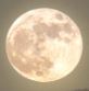 White Meteorite Tektite Essence (Moonlight)