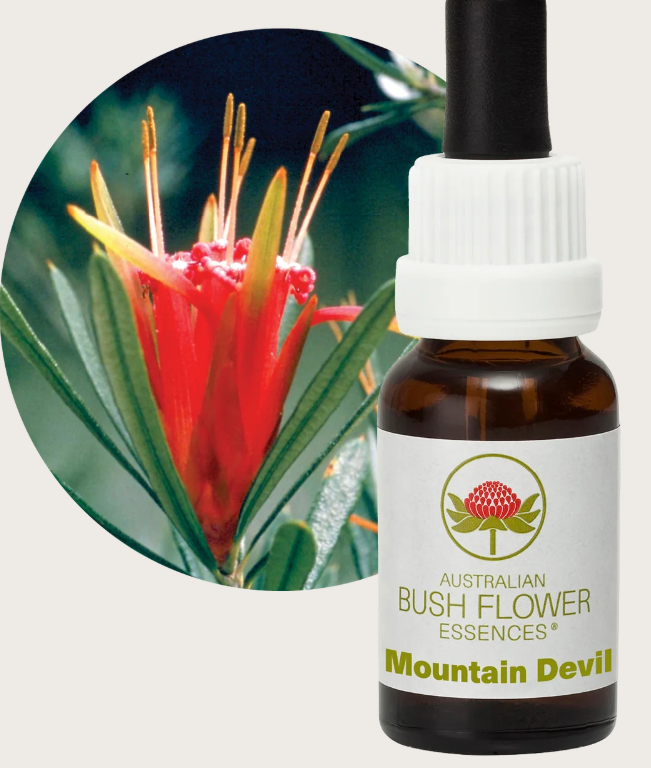 Mountain Devil Flower Remedy - Australian Bush Flower Essences