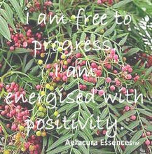 Load image into Gallery viewer, Pink Peppercorn  Flower Remedy
