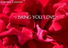 Load image into Gallery viewer, Soul Retrieval Spray