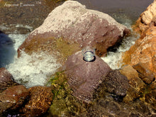 Load image into Gallery viewer, Tiger River Environmental Remedy