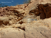 Load image into Gallery viewer, Tiger River Environmental Remedy