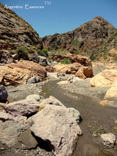 Load image into Gallery viewer, Tiger River Environmental Remedy