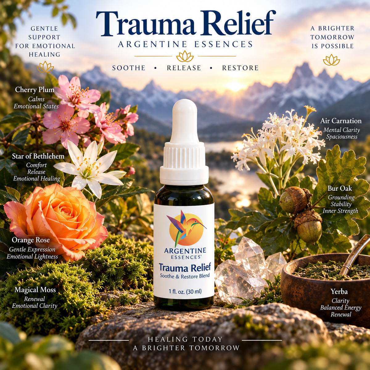 Trauma Relief – Emotional Comfort & Restoration Blend