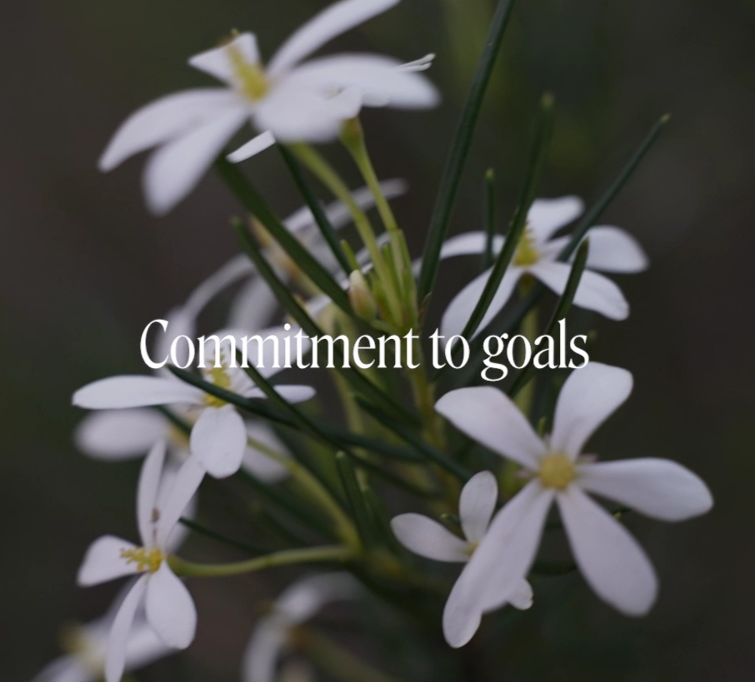 Wedding Bush Flower Essence Remedy