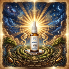 Load image into Gallery viewer, White Meteorite Chondrite Mineral Essence, Sunlight Crystal Elixir, Starseed Cosmic Energy Remedy