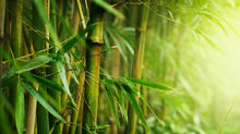 Load image into Gallery viewer, Bamboo Flower Remedy