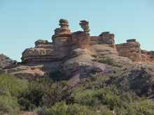 Load image into Gallery viewer, El Canon Atuel Environmental Remedy