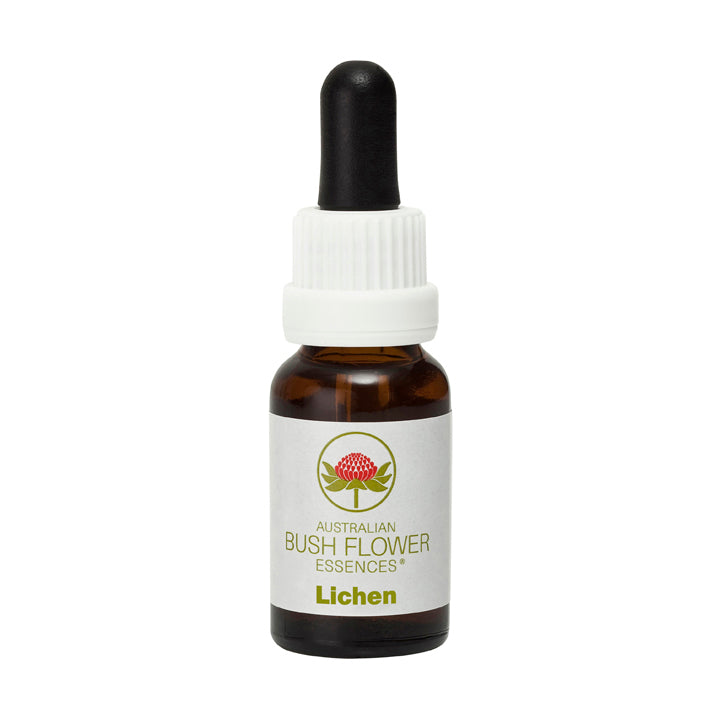 Lichen Flower Essence Remedy