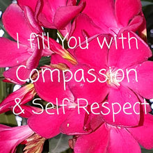 Load image into Gallery viewer, Magenta Cosmos Flower Remedy