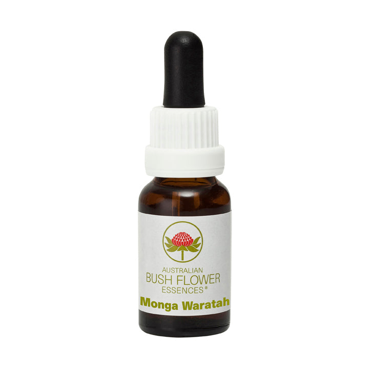 Monga Waratah Flower Essence Remedy