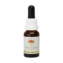 Load image into Gallery viewer, Monga Waratah Flower Essence Remedy