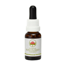 Load image into Gallery viewer, Peach-Flowered Tea Tree Flower Essence