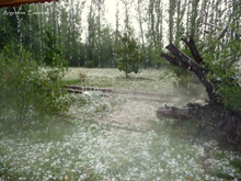 Load image into Gallery viewer, Hailstorm Environmental Remedy