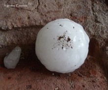 Load image into Gallery viewer, Hailstorm Environmental Remedy