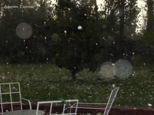 Load image into Gallery viewer, Hailstorm Environmental Remedy