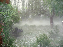 Load image into Gallery viewer, Hailstorm Environmental Remedy