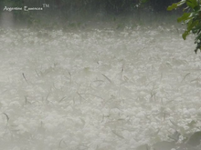 Load image into Gallery viewer, Hailstorm Environmental Remedy