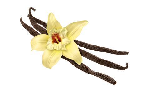 Vanilla Flower Essence