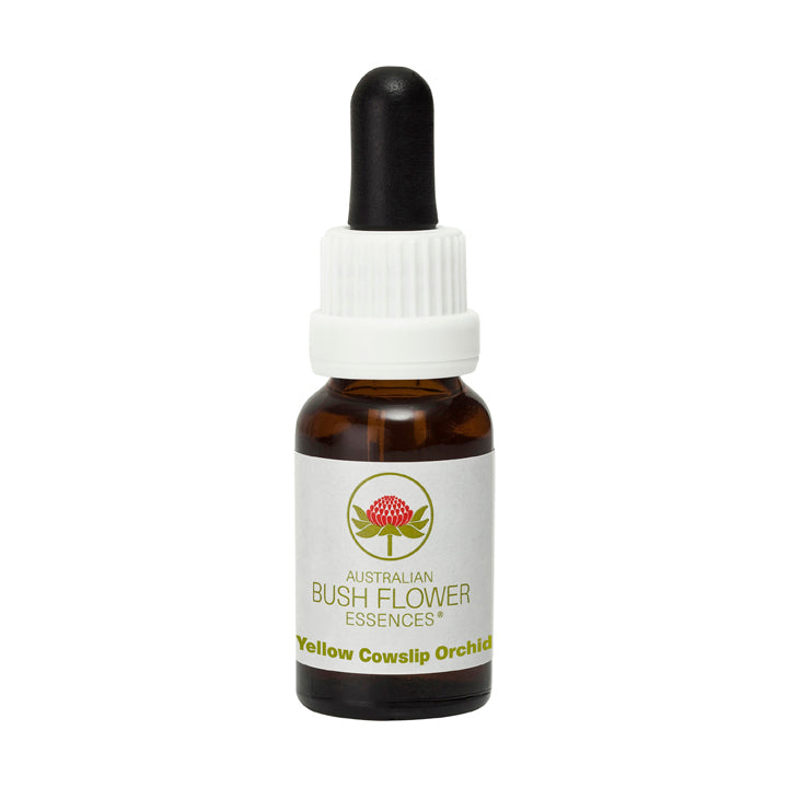 Yellow Cowslip Orchid Flower Essence