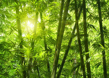 Load image into Gallery viewer, Bamboo Flower Remedy