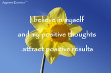 Load image into Gallery viewer, Yellow Daffodil Flower Remedy (sunlight)