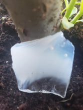 Load image into Gallery viewer, Elohim Monatomic Crystal Andara Remedy