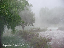Load image into Gallery viewer, Hailstorm Environmental Remedy