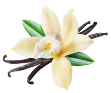 Load image into Gallery viewer, Vanilla Flower Essence
