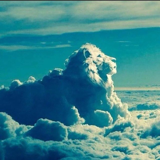 Lion Animal Vibrational Remedy