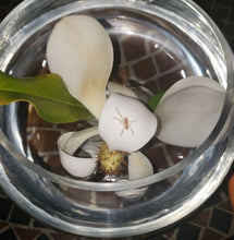 Load image into Gallery viewer, Magnolia De Magdalene Flower Remedy (Moonlight)