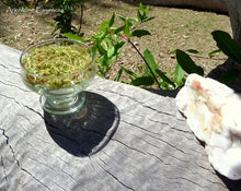 Load image into Gallery viewer, Bur Oak Tree Vibrational Healing  Remedy By Argentine Essences Exclusively At Starseed Essence Shoppe